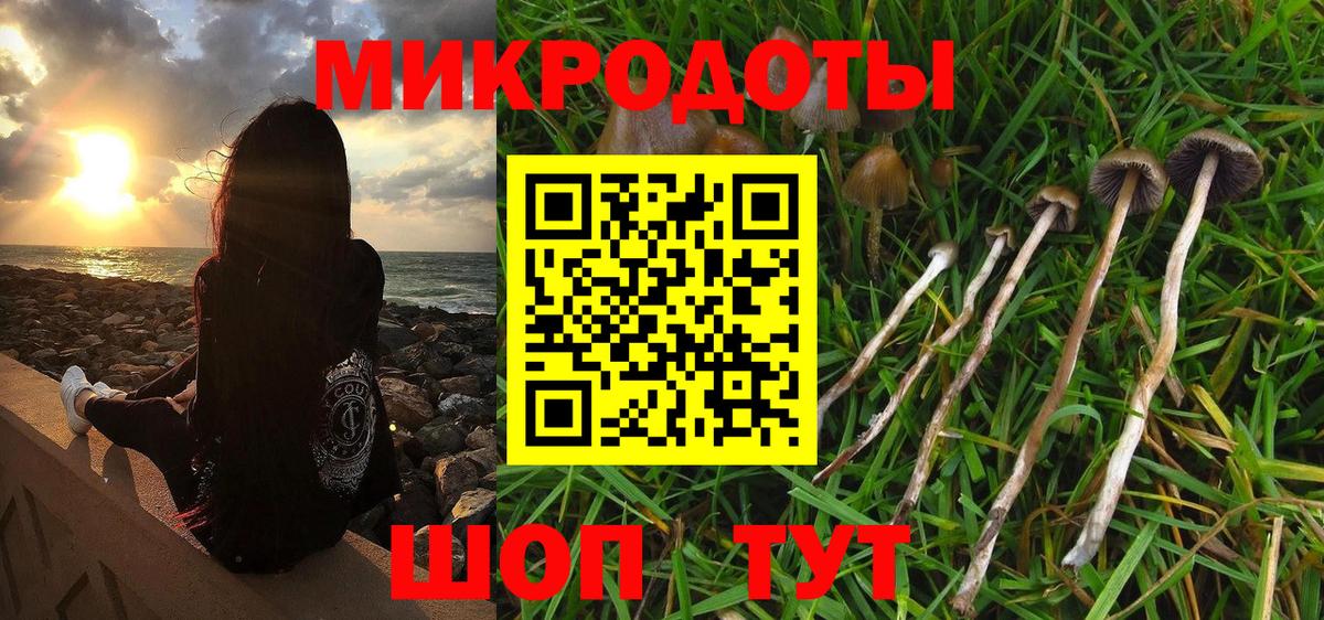Псилоцибиновые грибы мицелий  Вход с VPN  Карпинск 